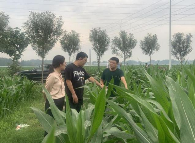 圖片13.png 圖片13.png